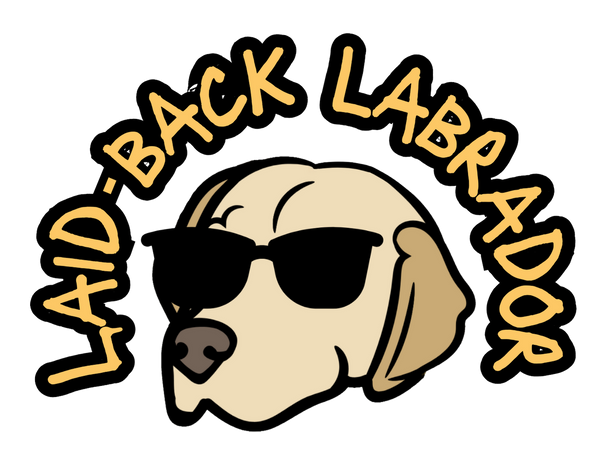 Laidback Labrador